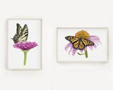 Tiger Swallowtail Butterfly and Zinnia Flower Print | Watercolor Swallowtail Painting