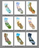California Redwoods National Park Watercolor Print, California Redwoods Trees Souvenir