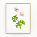 Clover Print, Watercolor Clover Painting, Clover Art, Floral Art