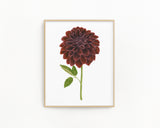 Dahlia Print, Watercolor Dahlia Black Velvet Painting,  Black Dahlia Art