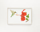 Humming Bird & Hibiscus Print | Watercolor Humming Bird Painting