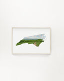 North Carolina Greeting Card, North Carolina Notecard, North Carolina Souvenir, NC Greeting Card