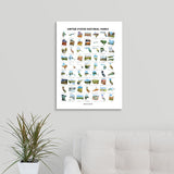National Park Series on Canvas Gallery Wrap