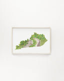 Kentucky Watercolor Print, Kentucky State, Home State Art, Kentucky map art,  Big South Fork River - Emilie Taylor Art