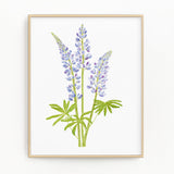 Lupine Print, Watercolor Lupines Painting, Lupine Art, Floral Art, Floral Print, Wild Flowers