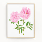 Peonies Print, Watercolor Peony Painting, Peony Art, Floral Art