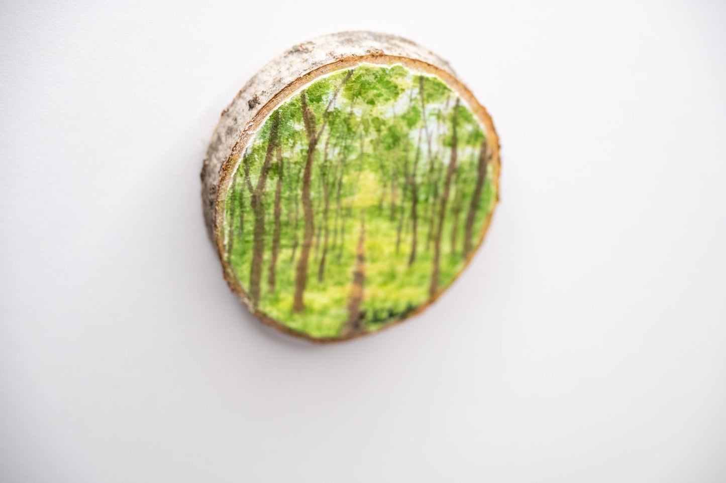 z2024 Trail of the Woodland Realm Emilie Taylor Art