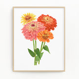 Zinnia Print, Watercolor Zinnias Painting, Multicolor Zinnia bundle