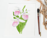 Lady's Slipper Print, Watercolor Lady Slipper Painting, Minnesota State Flower
