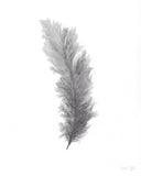 Gray Watercolor Feather Painting, Feather Print, Bird Feather, Home Decor, Grey Decor, Feather art - Emilie Taylor Art