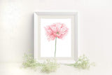 Pink Poppy Print, Watercolor Poppy Painting, Poppy Art, (Style2), Floral Print, Pink Poppy art - Emilie Taylor Art