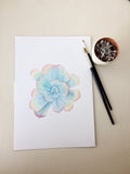 Rainbow Succulent Print, Watercolor Succulent Painting, Blue Sky Echeveria, Blue Sky Succulent - Emilie Taylor Art