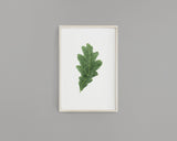 Watercolor Oak leaf Painting, Leaf Art, Fall Decor,  White Oak Leaf, Green leaf, Leaf decor - Emilie Taylor Art