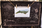 North Carolina Greeting Card, North Carolina Notecard, North Carolina Souvenir, NC Greeting Card - Emilie Taylor Art