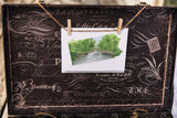 Pennsylvania Greeting Card, Pennsylvania Notecard, Pennsylvania Art, PA Greeting Card, State Card - Emilie Taylor Art
