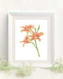 Lily Print, Watercolor Lilies Painting, Lily Art, Floral Art, Floral Print, Orange Lilies - Emilie Taylor Art