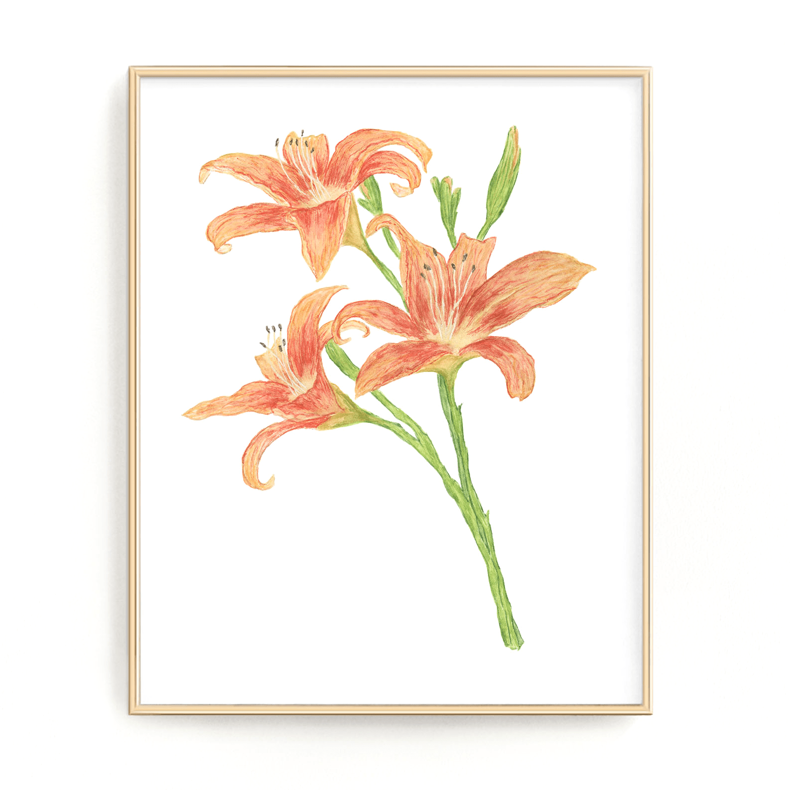 lily flower art Lily Print, Watercolor Lilies Painting, Lily Art, Floral Art, Floral Print,  Orange Lilies