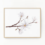 Magnolia Print, Watercolor Magnolia Painting, Floral Art Print, Star Magnolia