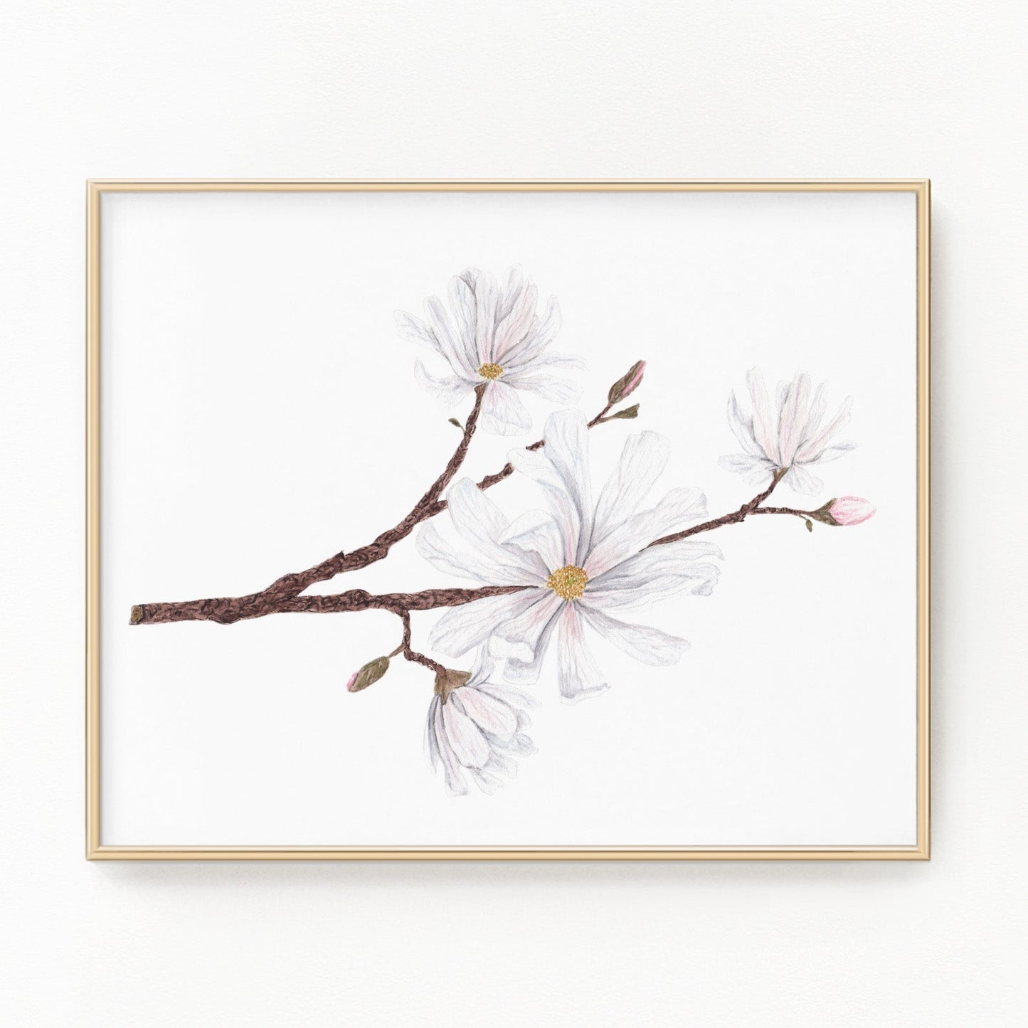 Magnolia Print, Watercolor Magnolia Painting, Floral Art Print, Star Magnolia Emilie Taylor Art