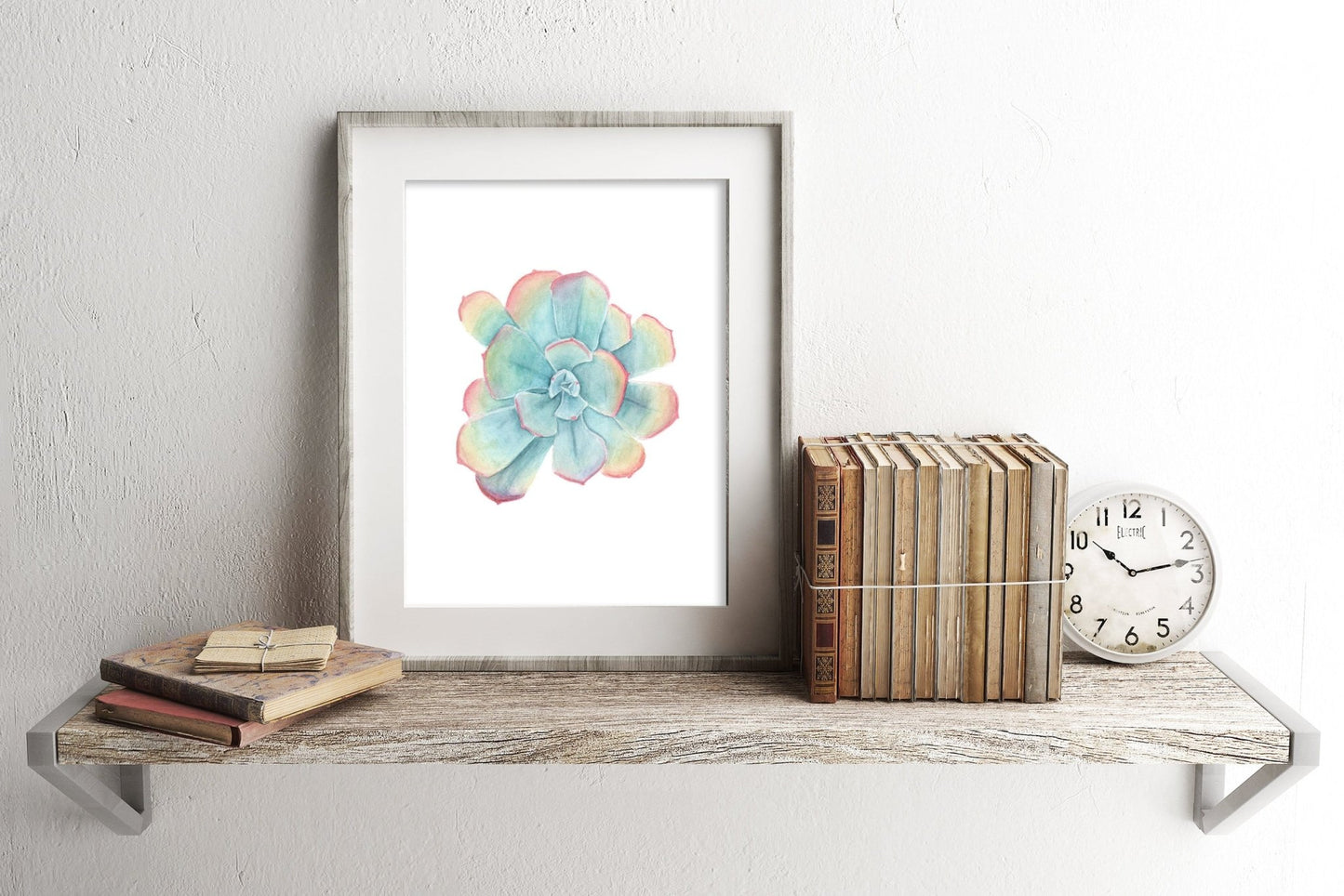 Rainbow Succulent Print, Watercolor Succulent Painting, Blue Sky Echeveria, Blue Sky Succulent Emilie Taylor Art