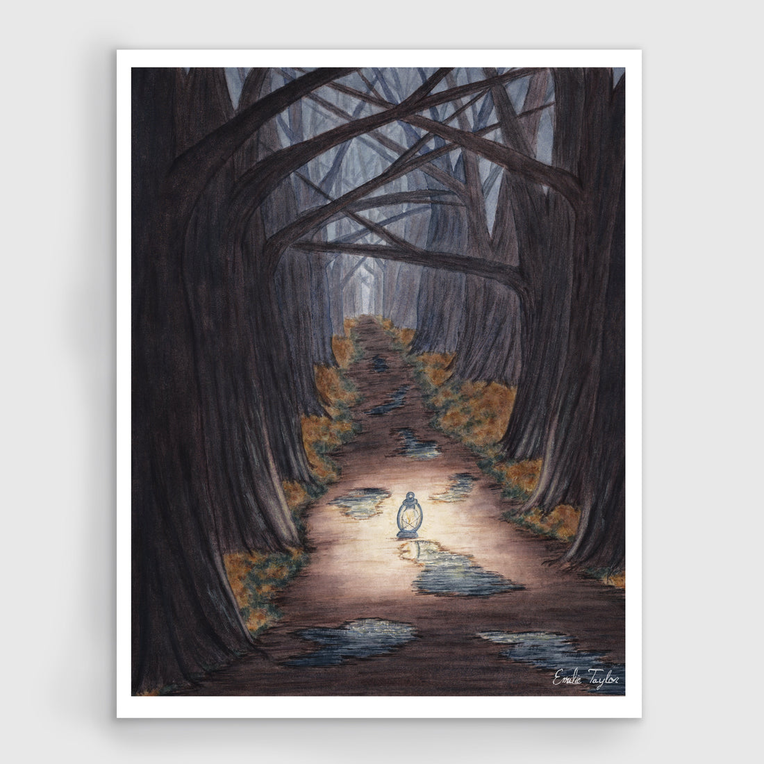 Defiant Looking For Some Light Collection - Emilie Taylor Art