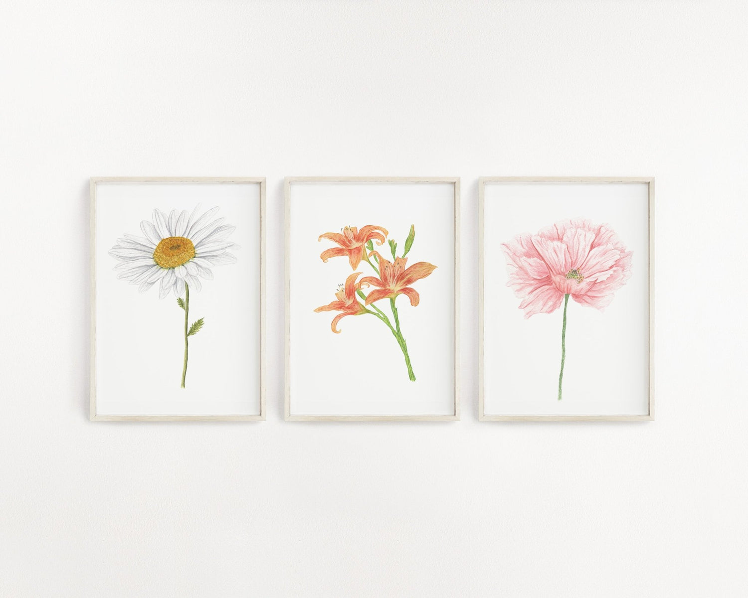 a Series of Florals and Botanicals - Emilie Taylor Art