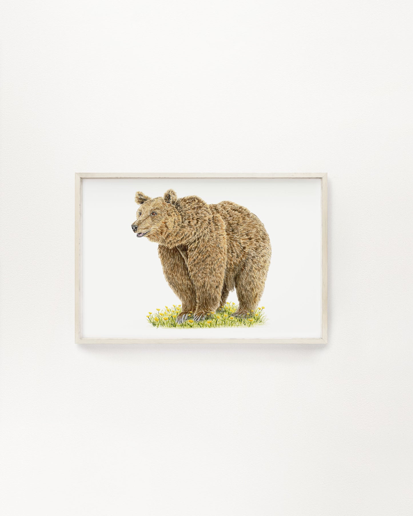 Grizzly Bear Print | Watercolor Brown Bear with Dandelions Painting