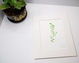 Original Thyme Painting (Herb Collection)