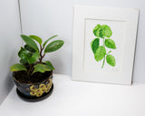 Original Basil Painting