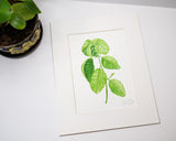 Original Basil Painting