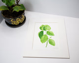 Original Basil Painting