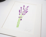 Original Lavender Painting (Herb Collection)