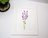 Original Lavender Painting (Herb Collection)