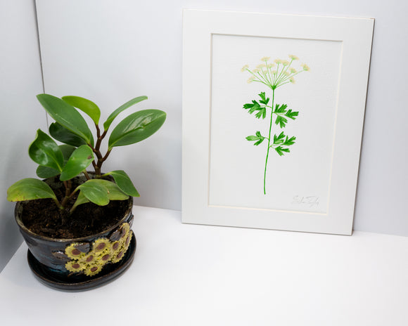 Original Parsley Painting (Herb Collection)