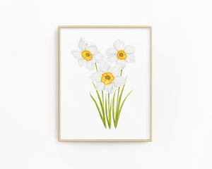 Daffodil Print| Watercolor Daffodils Painting, Narcissus Flower