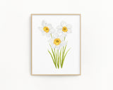 Daffodil Print| Watercolor Daffodils Painting, Narcissus Flower