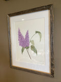 Lilacs Original Painting Mated and framed to size 11x14