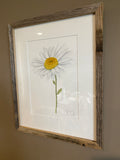 Daisy Original Painting Mated and framed to size 11x14