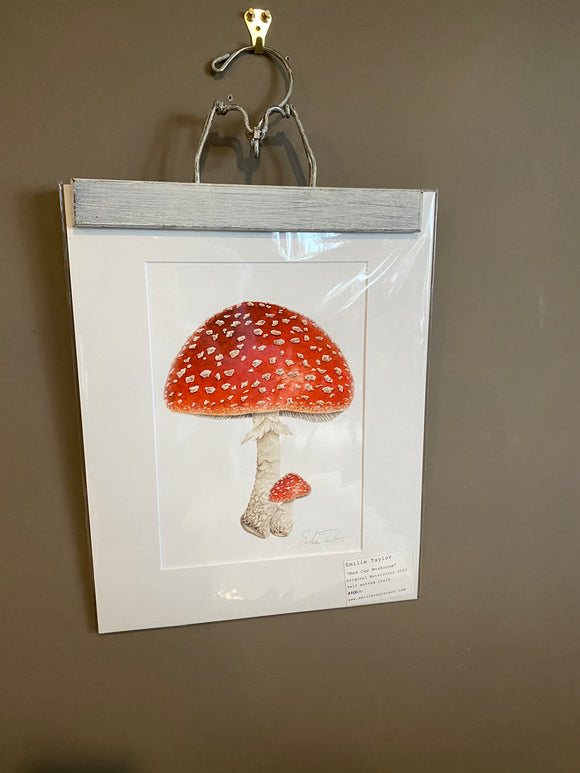 Red Cap Mushroom Original Painting Mated to size 11x14