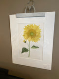 Sunflower Original Painting Mated to size 16x20