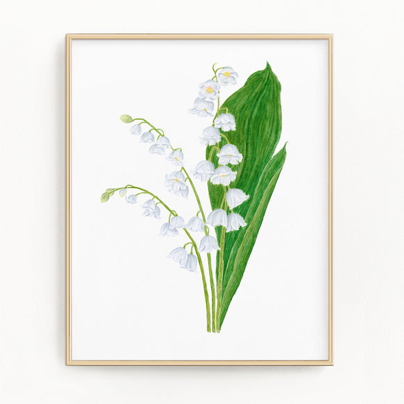 Lily of the Valley print, Watercolor Lily of the Valley Painting, White Floral Art