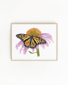 Monarch and Cone Flower Print | Watercolor Monarch Painting