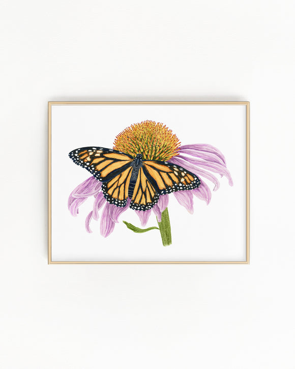 Monarch and Cone Flower Print | Watercolor Monarch Painting