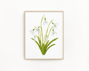 Snowdrop Print| Watercolor Snowdrops Painting, January Birth Flower