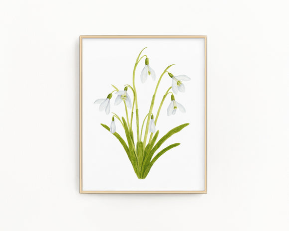 Snowdrop Print| Watercolor Snowdrops Painting, January Birth Flower