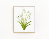 Snowdrop Print| Watercolor Snowdrops Painting, January Birth Flower