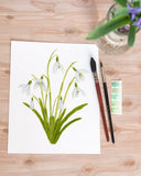 Snowdrop Print| Watercolor Snowdrops Painting, January Birth Flower