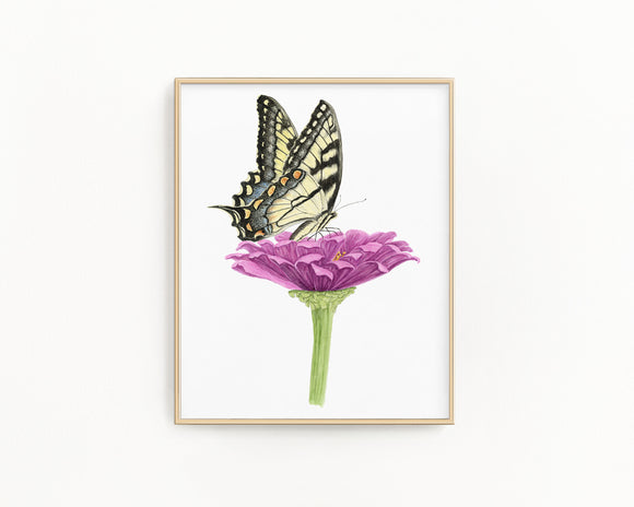 Tiger Swallowtail Butterfly and Zinnia Flower Print | Watercolor Swallowtail Painting