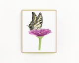 Tiger Swallowtail Butterfly and Zinnia Flower Print | Watercolor Swallowtail Painting