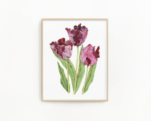 Tulips Black Parrot Print| Watercolor Tulips Painting, Black Parrot Tulips